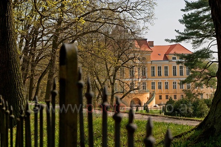 Schloss Rogalin (20090414 0144)
